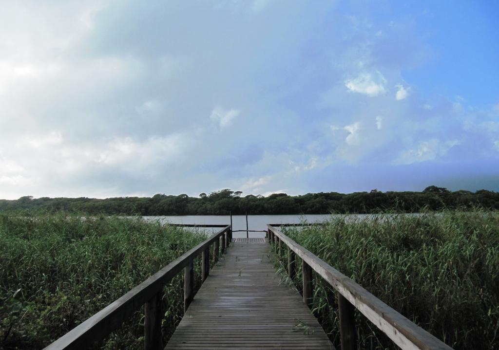 La Dolce Vita Cottage Saint Lucia Estuary Εξωτερικό φωτογραφία